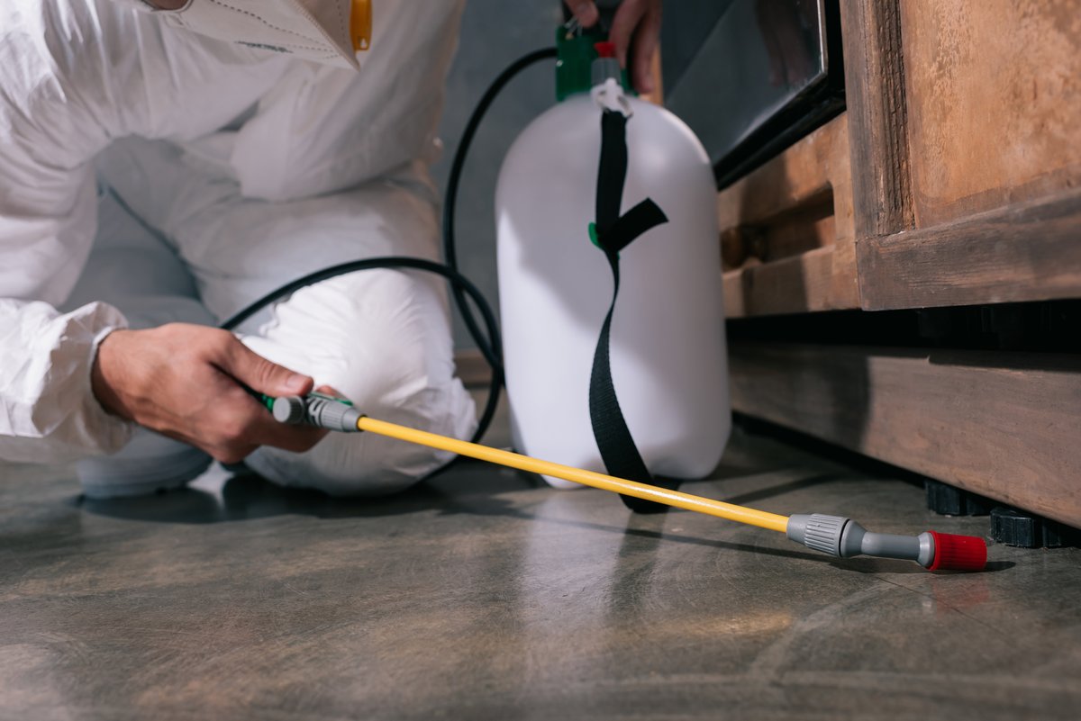 Schädlingsbekämpfer in neutraler Arbeitskleidung bei der Bettwanzenbehandlung