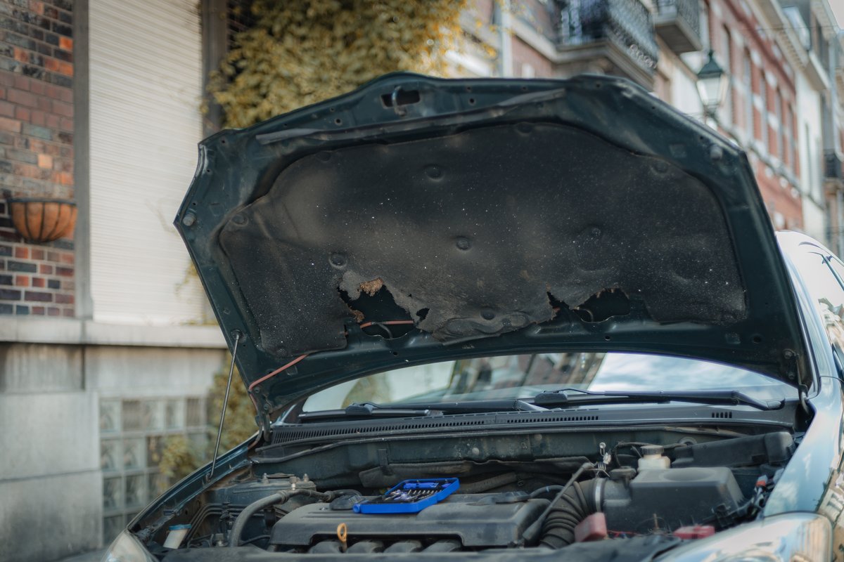 Marderschaden an der Dämmmatte unter der Motorhaube